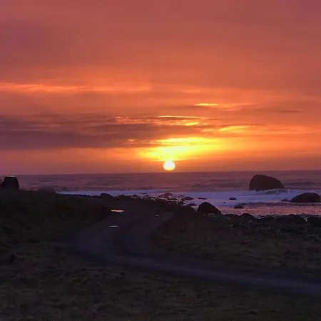 Strandheim * Borhaug