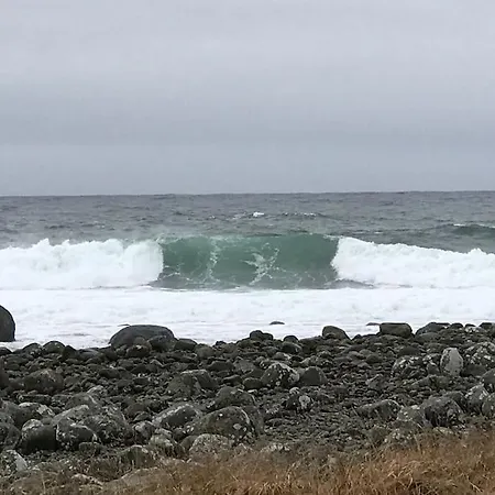 Strandheim * Borhaug