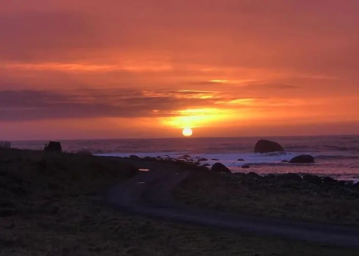 Strandheim * Borhaug